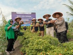Gerakan Tanam Cabai, Upaya BI Balikpapan Kendalikan Inflasi di PPU