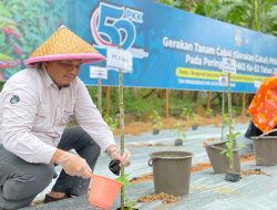 PAMA Dukung Program Nasional Tanam Cabai dan Pohon Buah
