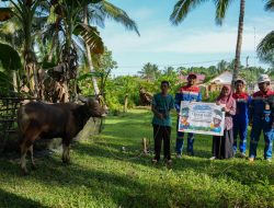 Sambut Iduladha 1445 H, PT KPB Serahkan 65 Ekor Hewan Kurban untuk Warga Balikpapan dan PPU