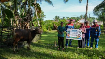 Sambut Iduladha 1445 H, PT KPB Serahkan 65 Ekor Hewan Kurban untuk Warga Balikpapan dan PPU