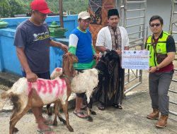 PAMA BPOP Sembelih 12 Ekor Hewan Kurban, Berbagi ke Masyarakat Sekitar Perusahaan