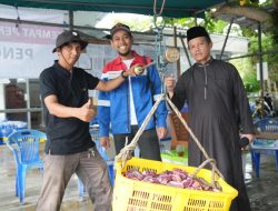 Berbagi di Iduladha, PT KPB Laksanakan Pemotongan Hewan Kurban untuk Ratusan Mitra Kerja