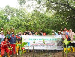 Upaya Menjaga Paru-Paru Dunia, Kilang Pertamina Unit Balikpapan Tanam 300 Pohon Mangrove