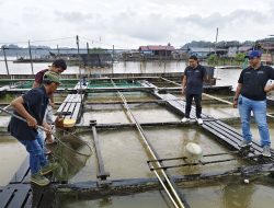 Tingkatkan Pengetahuan, Pokdakan Ikhlas Mandiri Balikpapan Belajar ke Loa Kulu