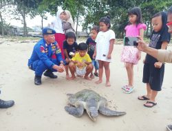 Ditpolairud Polda Kaltim Bantu Lepaskan Penyu Lekang kembali ke Laut Pasca Tersangkut di Jaring Nelayan