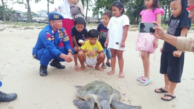 Ditpolairud Polda Kaltim Bantu Lepaskan Penyu Lekang kembali ke Laut Pasca Tersangkut di Jaring Nelayan