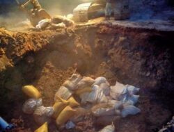 Polairud Polda Kaltim Sita 2,2 Ton Daging Babi Ilegal di Pelabuhan Semayang Balikpapan