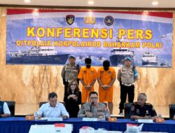 Polisi Sita 100 Ribu Benih Lobster Senilai Rp 25 Miliar, Gagalkan Perdagangan Ilegal di Lampung