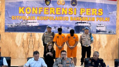Polisi Sita 100 Ribu Benih Lobster Senilai Rp 25 Miliar, Gagalkan Perdagangan Ilegal di Lampung