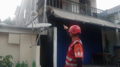 Tawon Vespa Resahkan Warga, BPBD dan Polisi Kerja Sama Musnahkan