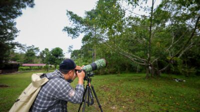 Otorita IKN Selenggarakan Bird Race Pertama di Kalimantan untuk Perkenalkan Keanekaragaman Hayati IKN