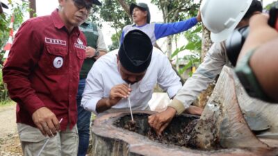 Madu Kelulut Kukar: Dari Hutan ke Pasar Digital, Strategi Branding agar Mampu Bersaing