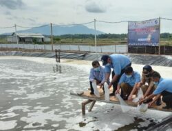 Dukung IKN, DKP Kukar Bangun Hatchery Benur Skala Besar di Muara Badak
