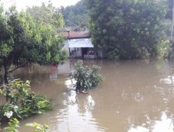 Curah Hujan Tinggi Picu Banjir di Tabang, BPBD: Belum Ada Korban Jiwa