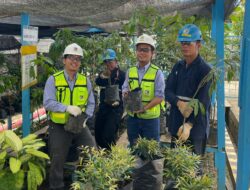 Komitmen Nyata PAMA Kurangi Emisi Karbon Lewat Penanaman Ribuan Pohon Buah