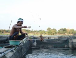 Pasokan Bibit Ikan Terancam, Ponoragan Desak Pemulihan Pascabanjir
