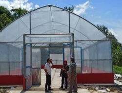 UV Dryer Hadir di Sumber Sari, Petani Tak Lagi Takut Panen Basah