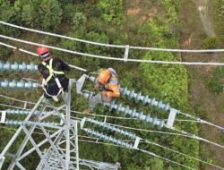 Transmisi Listrik Kaltim–Kaltara Maju Satu Langkah, PLN Rampungkan Section 1 & 3
