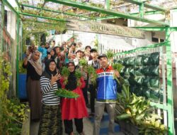 Bertani di Tengah Kota, Warga Balikpapan Nikmati Hasil Panen dari Vertical Garden