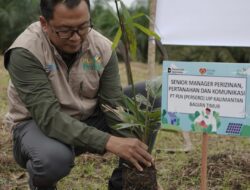 PLN Hadirkan Energi Hijau, Tanam 1.000 Pohon Aren untuk Lingkungan dan Masyarakat