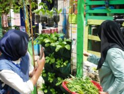 CSR Pertamina Balikpapan Mendunia, Program Kaliandra Sabet Penghargaan Internasional