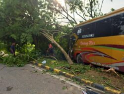 Bus Bintang Mas Alami Kecelakaan di Penajam, Kodim 0913/PPU Sigap Evakuasi 33 Penumpang