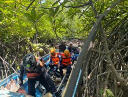 Pemancing Hilang Diterkam Buaya di Sungai Kariangau, Tim SAR Balikpapan Sisir Lokasi