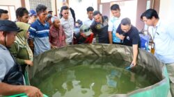 Wujudkan Masyarakat Produktif, Otorita IKN Gelar Pelatihan Budidaya Ikan di Sepaku