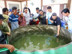 Wujudkan Masyarakat Produktif, Otorita IKN Gelar Pelatihan Budidaya Ikan di Sepaku