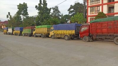 Satgas Otorita IKN Ungkap Aktivitas Tambang dan Perambahan Hutan Ilegal di Kawasan Nusantara