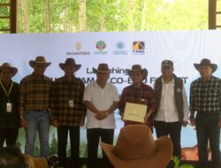 Rusa Sambar dan Semangat Hijau PAMA di Jantung Ibu Kota Nusantara