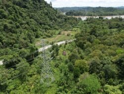 Interkoneksi Listrik Kaltim–Kaltara Berhasil Energize, PLN Pastikan Pasokan Stabil untuk Industri Besar