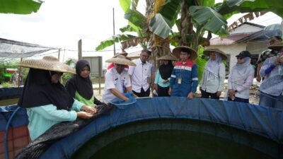 Kelola Potensi Lokal, Warga Karang Joang Kembangkan Budidaya Papuyuh Bersama Pertamina Patra Niaga