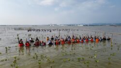 Mangrove Jadi Benteng Pesisir, PAMA Ajak Media Ikut Rehabilitasi
