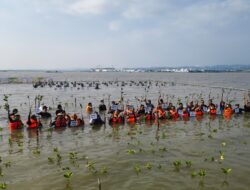 Mangrove Jadi Benteng Pesisir, PAMA Ajak Media Ikut Rehabilitasi