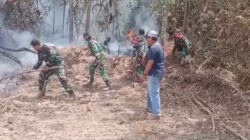 Api Kepung Lahan Sawit dan Gambut Muara Muntai, Tim Gabungan Turun Tangan