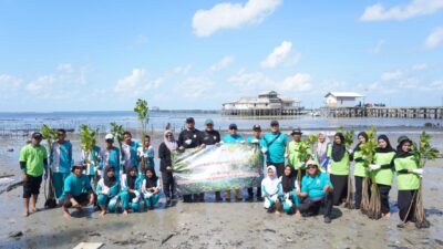 Desa Berdaya Masuk Periode Ketiga, PLN Fokus Pulihkan Lingkungan Pesisir Tanjung Seloka