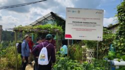 Dari Lahan 1,5 Hektare, KWT Karang Joang Kini Punya Sumber Pangan dan Penghasilan Berkat KAWAN PATRA