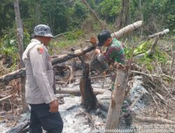 Polda Kaltim Usut 34 Kasus Karhutla, 9 Orang Dijerat Tersangka
