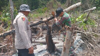 Polda Kaltim Usut 34 Kasus Karhutla, 9 Orang Dijerat Tersangka