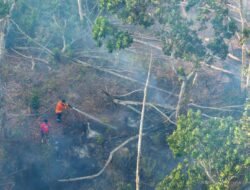 IKN Siapkan Strategi Tiga Lapis Hadapi Karhutla, Kawasan Dibagi 7 Klaster
