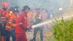 Otorita IKN Mulai Tegas soal Karhutla, Pelaku Diproses Hukum hingga Perusahaan Kena Sanksi