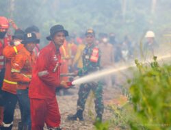 Otorita IKN Mulai Tegas soal Karhutla, Pelaku Diproses Hukum hingga Perusahaan Kena Sanksi