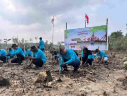 Pesisir Kariangau Berubah, Pemulihan Mangrove Kembali Digencarkan