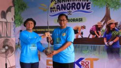Sebagian Mangrove Mati, Karang Taruna Kariangau Tanam 1.000 Bibit Baru dengan Dukungan Interport