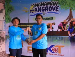 Sebagian Mangrove Mati, Karang Taruna Kariangau Tanam 1.000 Bibit Baru dengan Dukungan Interport